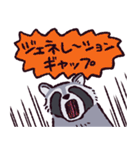 アライグマです（個別スタンプ：35）