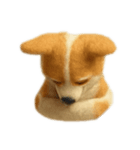 毛糸のコーギー（個別スタンプ：6）