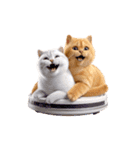 白猫とオレンジ猫のカップルアニメーション（個別スタンプ：2）