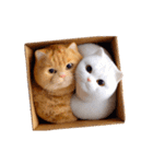 白猫とオレンジ猫のカップルアニメーション（個別スタンプ：3）