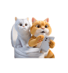 白猫とオレンジ猫のカップルアニメーション（個別スタンプ：4）