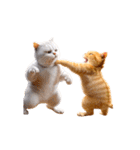 白猫とオレンジ猫のカップルアニメーション（個別スタンプ：7）