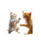 白猫とオレンジ猫のカップルアニメーション（個別スタンプ：8）