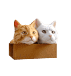 白猫とオレンジ猫のカップルアニメーション（個別スタンプ：17）
