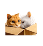 白猫とオレンジ猫のカップルアニメーション（個別スタンプ：18）