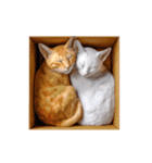 白猫とオレンジ猫のカップルアニメーション（個別スタンプ：24）