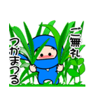 4忍者④【楽しい忍者スタンプでござる】（個別スタンプ：10）