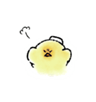 温泉ヒヨコ（個別スタンプ：31）