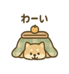 ぬくぬくこたつ柴犬さんの冬だより（個別スタンプ：1）