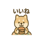 ぬくぬくこたつ柴犬さんの冬だより（個別スタンプ：2）