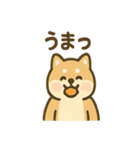 ぬくぬくこたつ柴犬さんの冬だより（個別スタンプ：12）