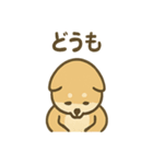 ぬくぬくこたつ柴犬さんの冬だより（個別スタンプ：25）