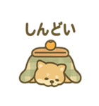 ぬくぬくこたつ柴犬さんの冬だより（個別スタンプ：27）