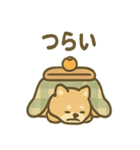 ぬくぬくこたつ柴犬さんの冬だより（個別スタンプ：29）