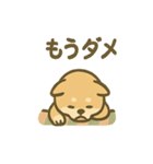 ぬくぬくこたつ柴犬さんの冬だより（個別スタンプ：31）