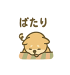 ぬくぬくこたつ柴犬さんの冬だより（個別スタンプ：33）
