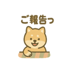 ぬくぬくこたつ柴犬さんの冬だより（個別スタンプ：38）