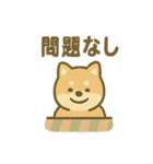 ぬくぬくこたつ柴犬さんの冬だより（個別スタンプ：40）