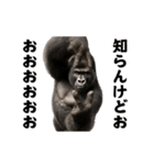 踊る！横揺れ界隈マウンテンゴリラ（個別スタンプ：15）