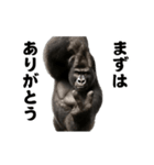 踊る！横揺れ界隈マウンテンゴリラ（個別スタンプ：21）