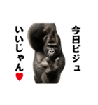 踊る！横揺れ界隈マウンテンゴリラ（個別スタンプ：23）
