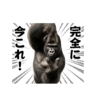 踊る！横揺れ界隈マウンテンゴリラ（個別スタンプ：24）