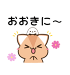 播州弁のアビシニアンとシマエナガ（個別スタンプ：6）