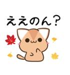 播州弁のアビシニアンとシマエナガ（個別スタンプ：9）