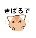 播州弁のアビシニアンとシマエナガ（個別スタンプ：19）