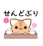 播州弁のアビシニアンとシマエナガ（個別スタンプ：23）