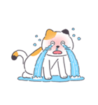 普通の三毛猫（個別スタンプ：5）