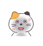 普通の三毛猫（個別スタンプ：8）