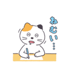 普通の三毛猫（個別スタンプ：15）