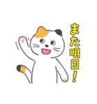 普通の三毛猫（個別スタンプ：16）