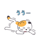 普通の三毛猫（個別スタンプ：17）
