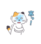 普通の三毛猫（個別スタンプ：19）