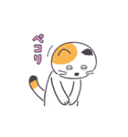 普通の三毛猫（個別スタンプ：23）