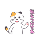 普通の三毛猫（個別スタンプ：25）