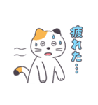 普通の三毛猫（個別スタンプ：26）