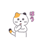 普通の三毛猫（個別スタンプ：31）