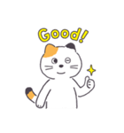 普通の三毛猫（個別スタンプ：36）