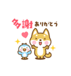 動く！柴犬さんたちの台湾語＆日本語版（個別スタンプ：4）