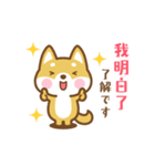 動く！柴犬さんたちの台湾語＆日本語版（個別スタンプ：8）