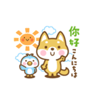 動く！柴犬さんたちの台湾語＆日本語版（個別スタンプ：10）