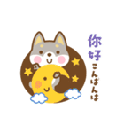 動く！柴犬さんたちの台湾語＆日本語版（個別スタンプ：11）