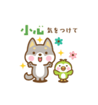 動く！柴犬さんたちの台湾語＆日本語版（個別スタンプ：23）