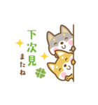 動く！柴犬さんたちの台湾語＆日本語版（個別スタンプ：24）