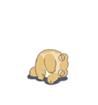 繁忙期カエル（個別スタンプ：29）