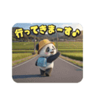 ポンポンパンダ（個別スタンプ：13）