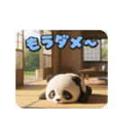 ポンポンパンダ（個別スタンプ：19）